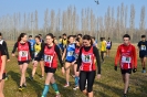 Cross 1a prova-15