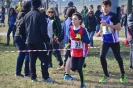 Cross 1a prova-204