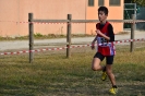 Cross 1a prova-210