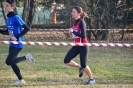 Cross 1a prova-22