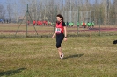 Cross 1a prova-86