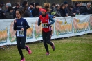 Cross 2a prova-21