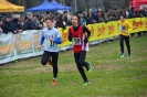 Cross 2a prova-46