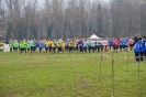 Cross 2a prova-4