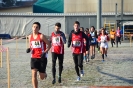 Corsa Campestre - Piacenza-63