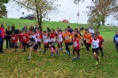 Campionato Provinciale di Corsa campestre 2018 3ª prova-86