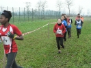 Campionato Provinciale di Corsa campestre 2019 3ª prova-360