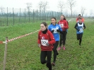 Campionato Provinciale di Corsa campestre 2019 3ª prova-363