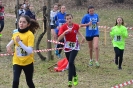 C.d.S - Cross - Assoluto, (eccetto allievi) master, giovanile - 2ª prova-41