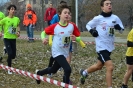 C.d.S - Cross - Assoluto, (eccetto allievi) master, giovanile - 2ª prova - Castellarano (RE)