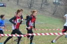 C.d.S - Cross - Assoluto, (eccetto allievi) master, giovanile - 2ª prova-62