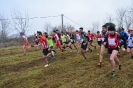 Campionato Provinciale di Corsa campestre 2020 1ª prova-2