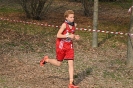 2ª prova CdS Cross Assoluto - giovanile - master-65