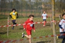 1ª  prova Cross Provinciale - Assoluto-286