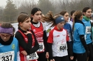 2ª  prova CdS Cross - Assoluto - giovanile - master-10