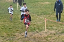 2ª  prova CdS Cross - Assoluto - giovanile - master-42